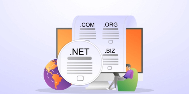 NET. Domain