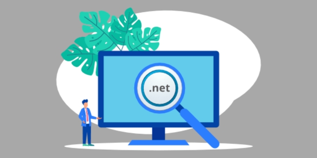 NET. Domain