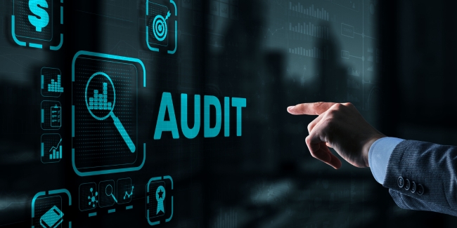 Introduct Completes Technical Audit for Fleetbrains