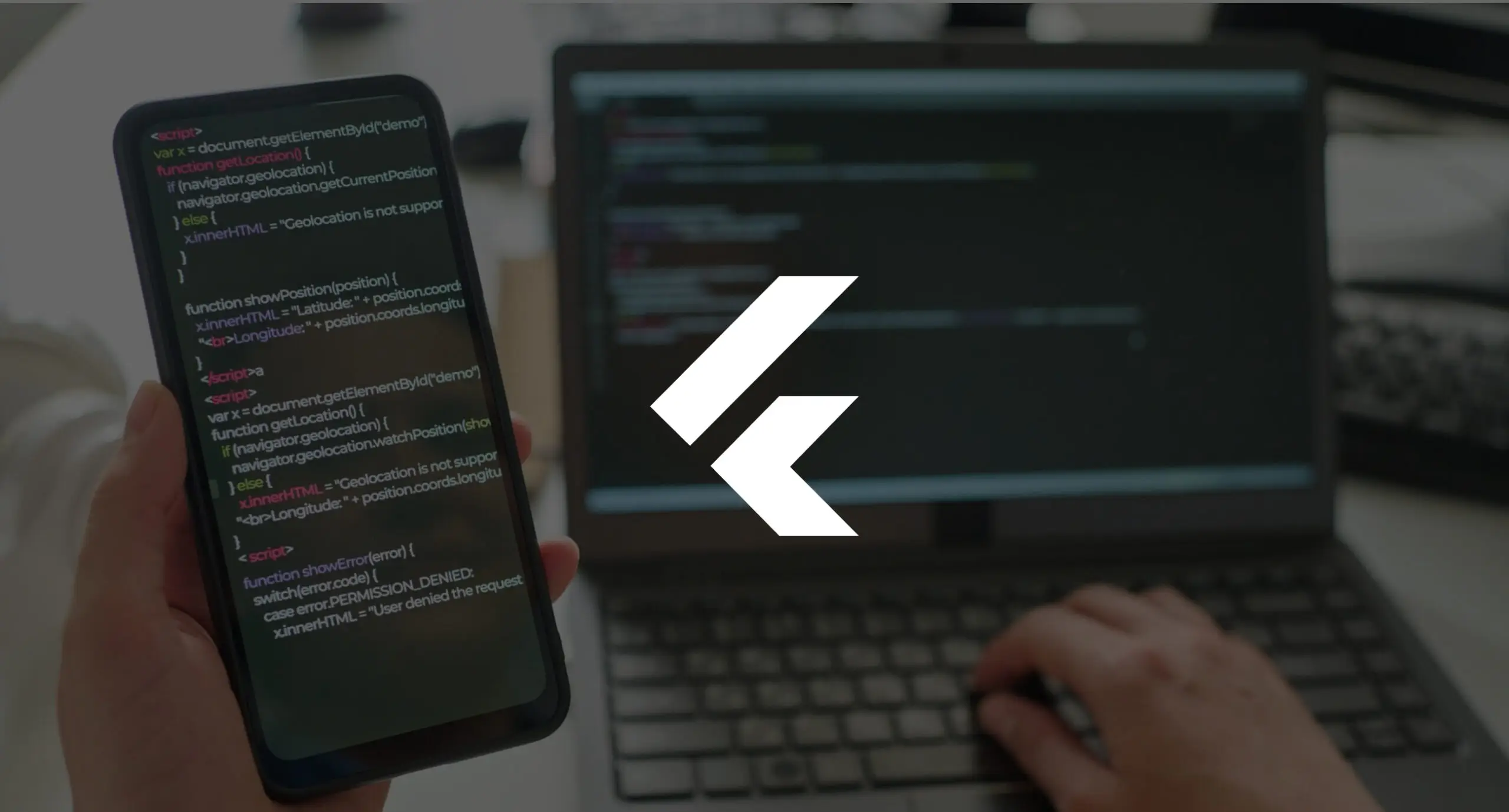 software development