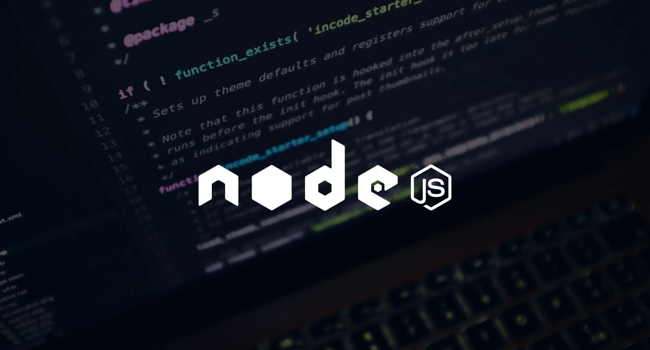 software development